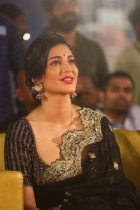 Veera Simha Reddy Heroine Shruti Haasan Saree Pictures