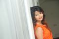 Dharpanam Actress Shubhangi Pant Latest Pictures