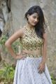 Short Temper Movie Actress Shubhangi Pant Photos