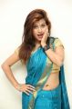 Actress Shubhangi Pant Hot Saree Photos