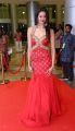 Actress Shubra Aiyappa Hot Pics @ An Ode To Weaves & Weavers Fashion Show