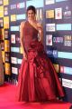Actress Shubra Aiyappa Hot Stills @ SIIMA Awards 2018 Red Carpet (Day 1)