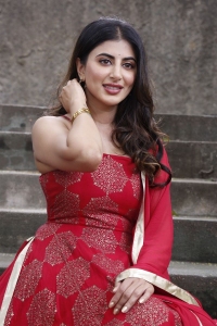 Dilwala Movie Actress Shweta Avasthi Images
