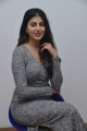 Telugu Actress Shweta Avasthi Photos @ Merise Merise Interview