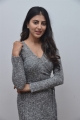 Telugu Actress Shweta Avasthi Photos @ Merise Merise Interview