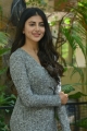 Merise Merise Movie Heroine Shweta Avasthi Interview Photos