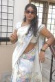 Veerangam Actress Shyamala Devi Saree Stills