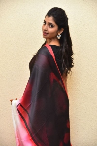 Telugu Anchor Shyamala Saree Images