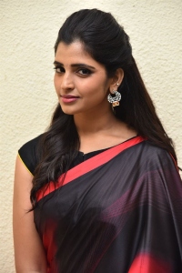Telugu Anchor Shyamala Saree Images