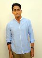 Actor Siddharth @ Trident Arts Production No 3 Movie Pooja Stills