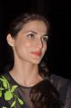 Shilpa Reddy @ Hyderabad Paws Magazine Launch Photos