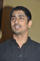 Actor Siddharth Grand Success Press Meet Photos