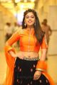 Telugu Actress Siddhi Idnani Images in Orange Dress