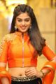 Telugu Actress Siddhi Idnani Images in Orange Dress