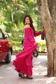 Actress Siddhi Idnani New Pics @ Prema Katha Chitram 2 Trailer Launch