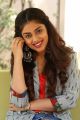 Heroine Siddhi Idnani Photos @ Prema Katha Chitram 2 Movie Interview