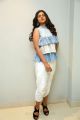 Actress Siddhi Idnani Pics @ Jambalakidi Pamba Title Song Launch