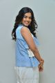 Jambalakidi Pamba Movie Actress Siddhi Idnani Pics