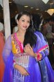 Actress Siddhi Mamre in Salwar Kameez Stills