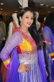 Siddhie Mhambre in Salwar Kameez Stills