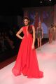 Nargis Fakhri @ Signature International Fashion Weekend 2013 Day 2 Photos