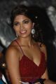 Parvathy Omanakuttan at South Indian International Movie Awards 2012 Photos