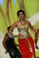 Amala Paul Hot Dance at South Indian International Movie Awards 2012 Photos