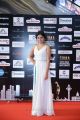 Dhanya Balakrishna @ SIIMA 2016 Red Carpet Day 2 Stills