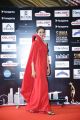 Actress Rakul Preet Singh @ SIIMA 2016 Red Carpet Day 2 Stills