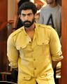 Rana Daggubati @ SIIMA 2016 Singapore Press Conference Photos