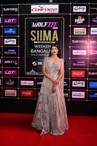 Lakshmi Manchu @ SIIMA Awards 2022 Red Carpet Stills