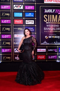 Kaavya Sha @ SIIMA Awards 2022 Red Carpet Stills