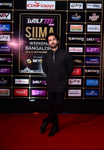 Arjan S Bajwa @ SIIMA Awards 2022 Red Carpet Stills