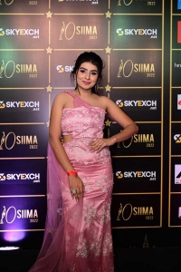 Sharanya Shetty @ SIIMA Awards 2022 Red Carpet Photos