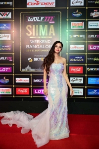 Vedhika @ SIIMA Awards 2022 Red Carpet Photos