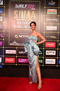 Shanvi Srivastava @ SIIMA Awards 2022 Red Carpet Photos