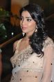 Shriya Saran at SIIMA Awards 2012 Dubai Day2 Stills