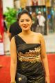 Nikesha Patel @ SIIMA Awards 2013 Day 1 Photos