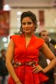 Parul Yadav @ SIIMA Awards 2013 Day 1 Photos