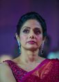 Sridevi @ SIIMA Awards 2013 Day 2 Photos