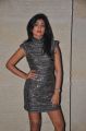 Shriya Saran @ SIIMA Awards 2013 Pre-Party Photos