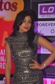 Shriya Saran @ SIIMA Awards 2013 Pre-Party Photos