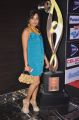 Madhavi Latha at SIIMA Awards 2013 Red Carpet Stills