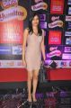 Celebs at SIIMA Awards 2013 Red Carpet Stills