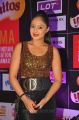 Nikisha Patel at SIIMA Awards 2013 Red Carpet Stills