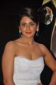 Parul Yadav at SIIMA Awards 2013 Red Carpet Stills