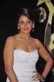 Parul Yadav at SIIMA Awards 2013 Red Carpet Stills