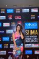 Actress Lavanya Tripathi @ SIIMA Awards 2017 Day 2 Red Carpet Photos