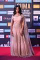 Actress Sanjjana @ SIIMA Awards 2018 Red Carpet Photos (Day 2)