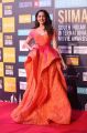Pragya @ SIIMA Awards 2018 Red Carpet Stills (Day 1)